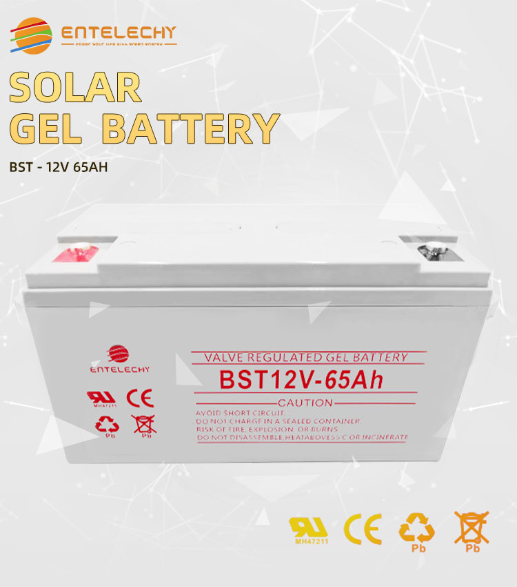 Solar Gel Battery 1
