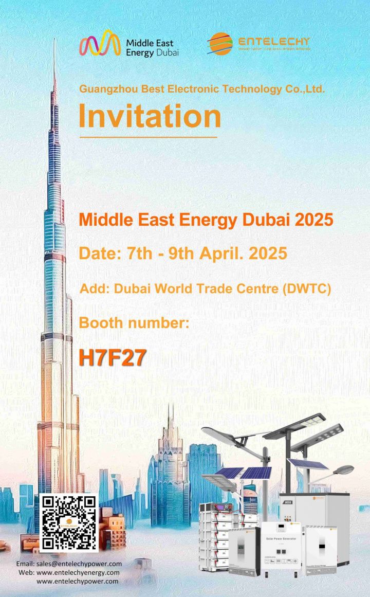 Middle East Energy Dubai 2025 - ENTELECHY